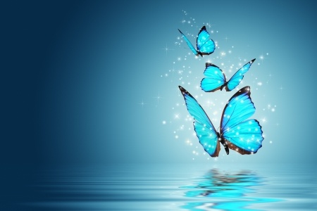 Butterfly_s