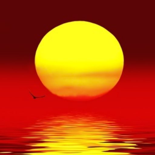 Bewegung gleich Flow gleich&nbsp;Leben