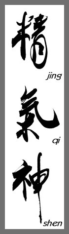 JING_QI_SHEN_Kalligraphie